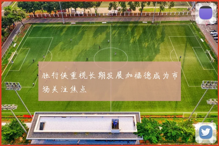 独行侠重视长期发展加福德成为市场关注焦点